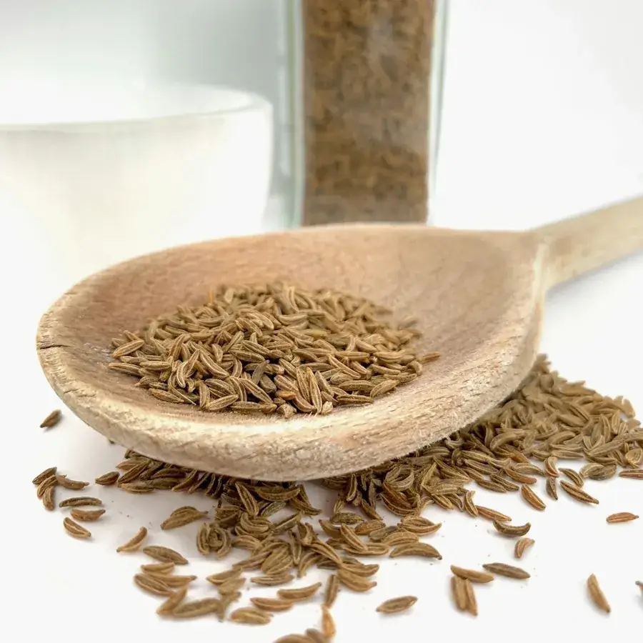 Anise Seeds – Egyptian herbs & spices by World Herbs