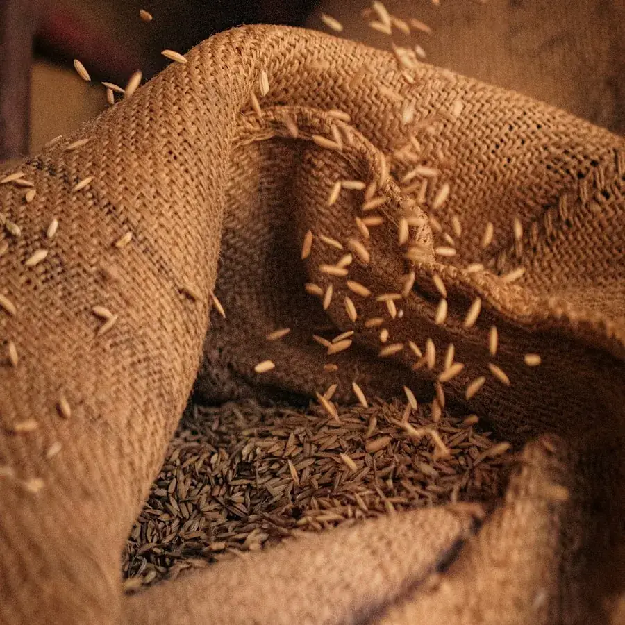 Caraway Seeds – Egyptian herbs & spices by World Herbs