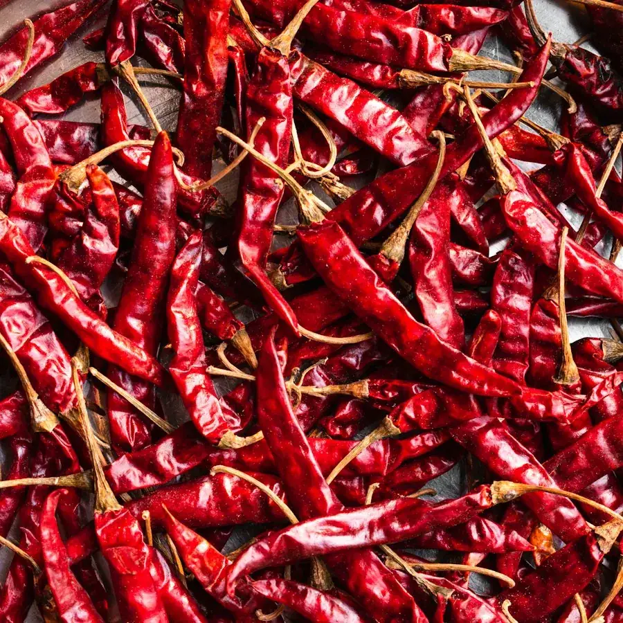 Red Chili – Egyptian herbs & spices by World Herbs