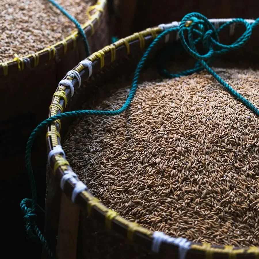 Ground Cumin – Egyptian herbs & spices by World Herbs