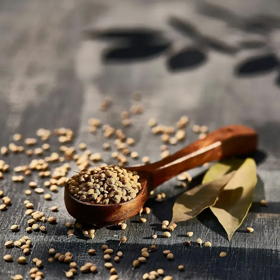 Dill Seeds – Egyptian herbs & spices by World Herbs