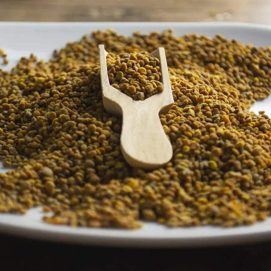 Fenugreek Seeds – Egyptian herbs & spices by World Herbs