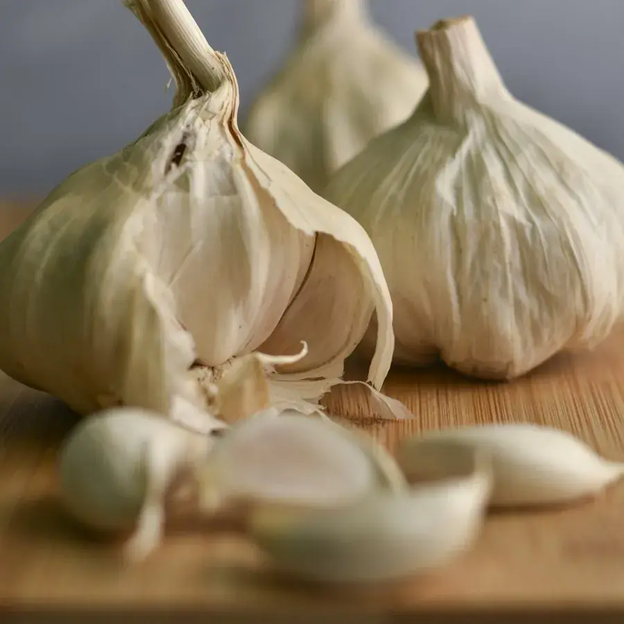 Dehydrated Garlic – Egyptian herbs & spices by World Herbs