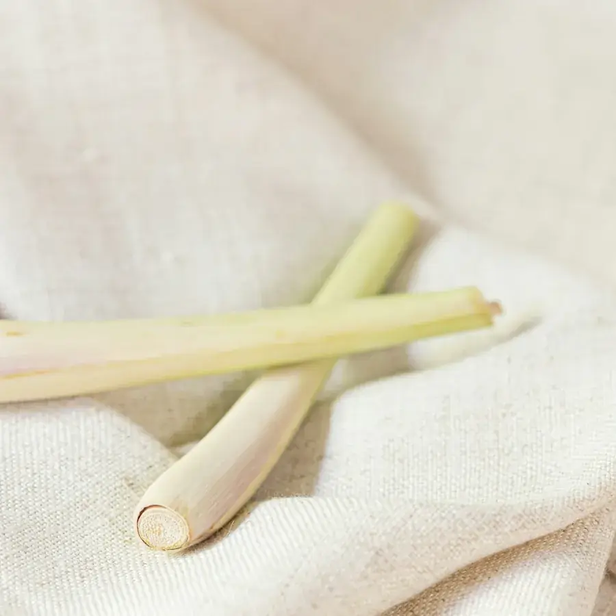 Lemongrass – Egyptian herbs & spices by World Herbs